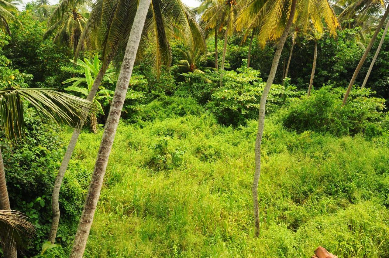 Deutsch Lanka Hotel Telwatta Buitenkant foto
